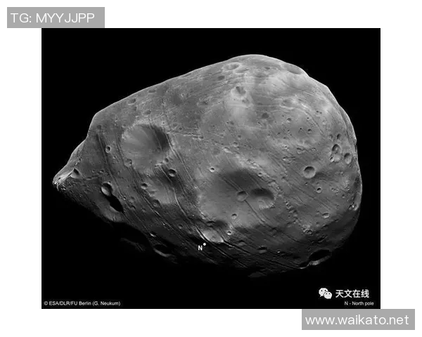 足球明星背后的阴影与光环揭示最黑暗的秘密与真实人生 足球明星背后的阴影与光环揭示最黑暗的秘密与真实人生