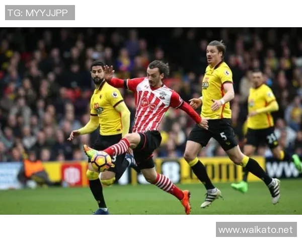 沃特福德主场迎战南安普敦期待精彩对决与胜利的争夺战 沃特福德主场迎战南安普敦期待精彩对决与胜利的争夺战